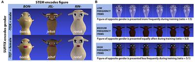 Assessing the Formation of Experience-Based Gender Expectations in an Implicit Learning Scenario